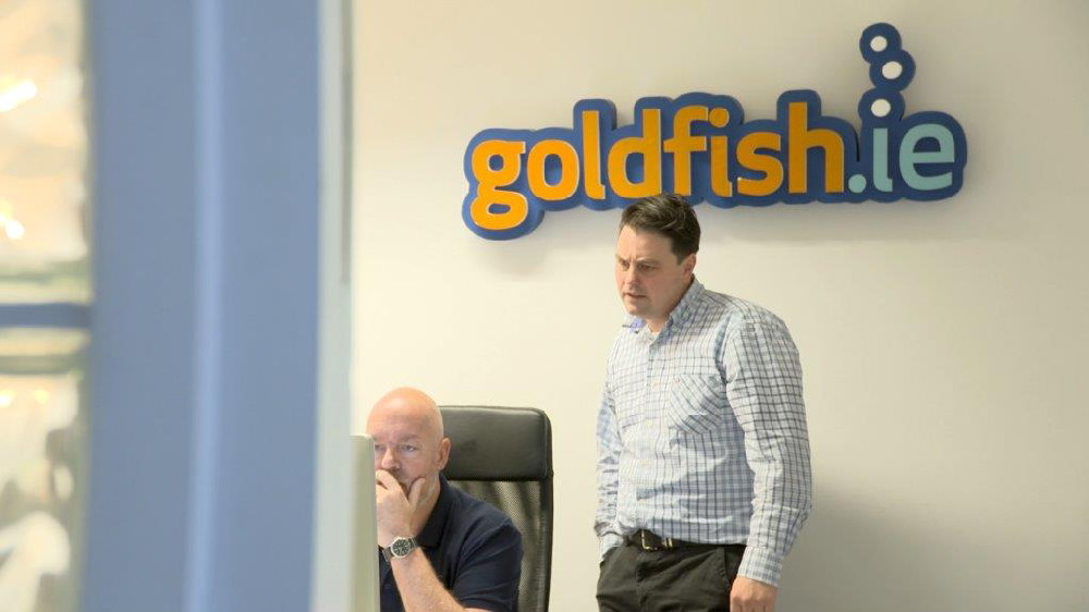 Goldfish.ie 2